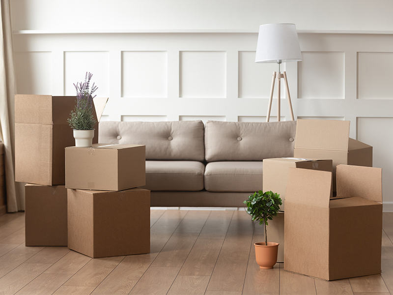 boxes in living room